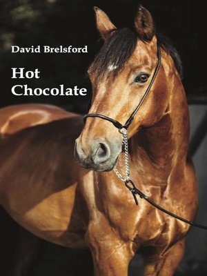cover image of Hot Chocolate